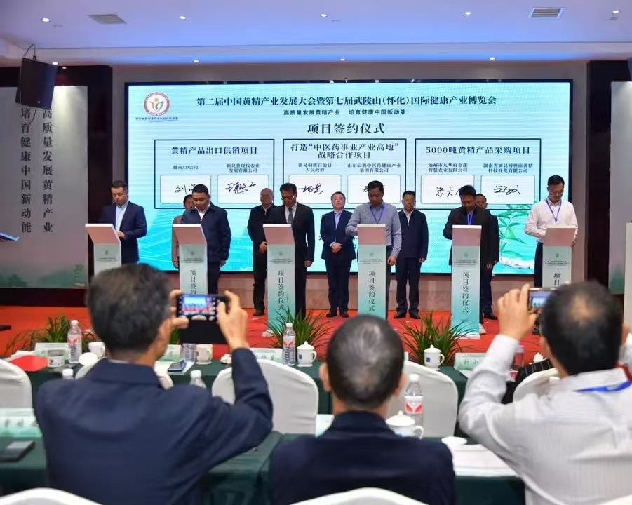 新晃黄精占全国1/6市场份额(图2)